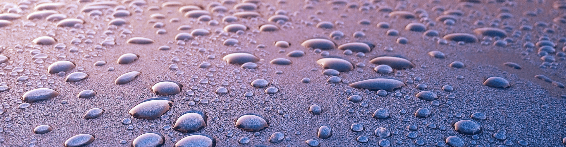 How To Save Money With Rainwater Tanks Service au
